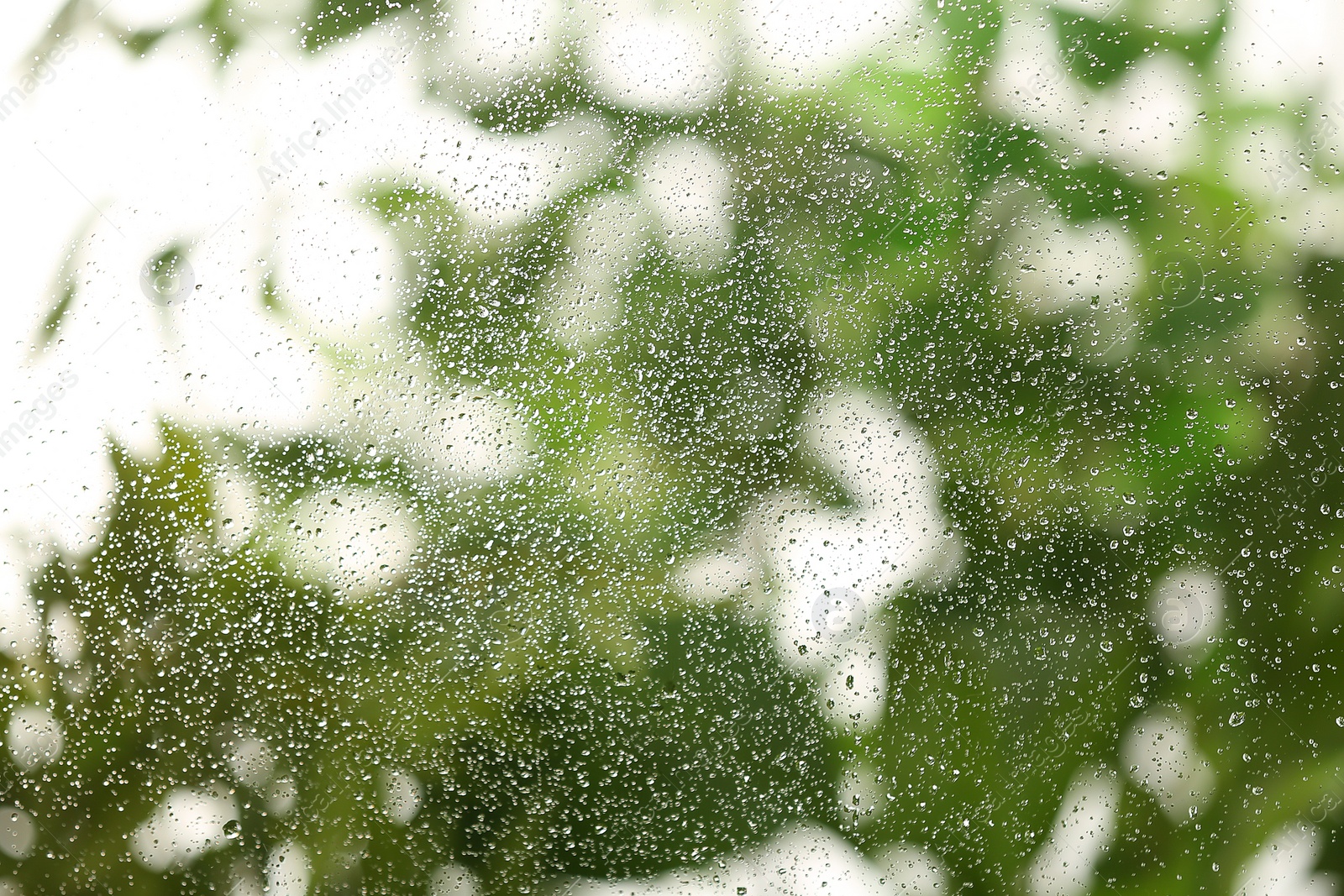 Photo of View of glass with water drops, closeup