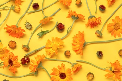 Flat lay composition with beautiful calendula flowers on yellow background