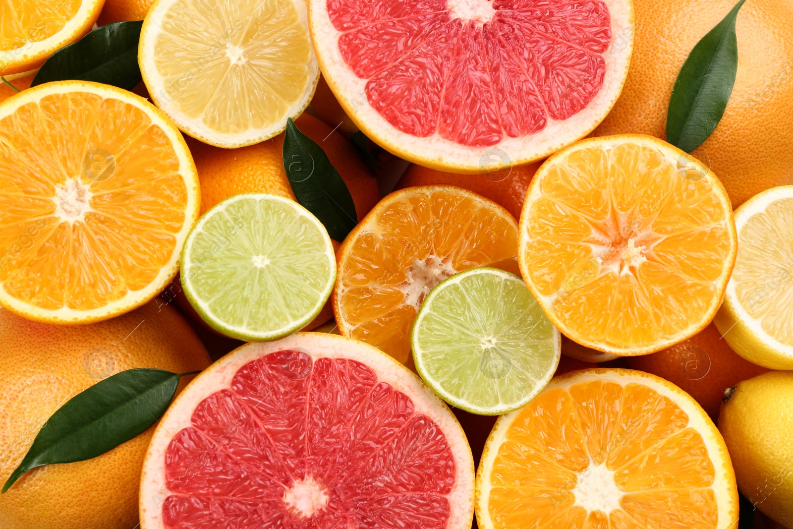 Photo of Tangerines and different citrus fruits as background, top view