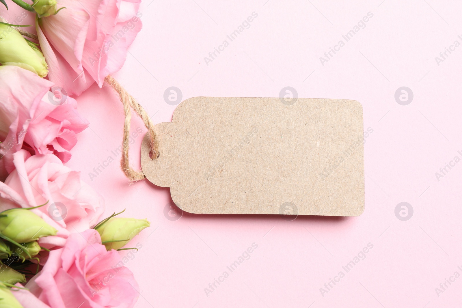 Photo of Happy Mother's Day. Beautiful flowers and blank card on pink background, flat lay