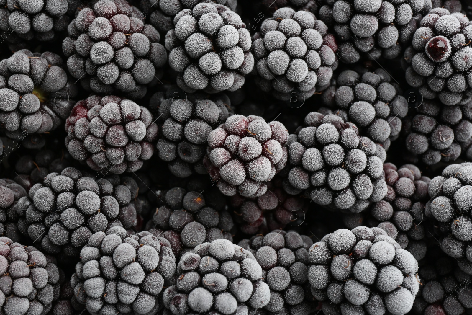 Photo of Tasty frozen blackberries as background, top view