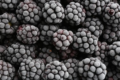 Tasty frozen blackberries as background, top view