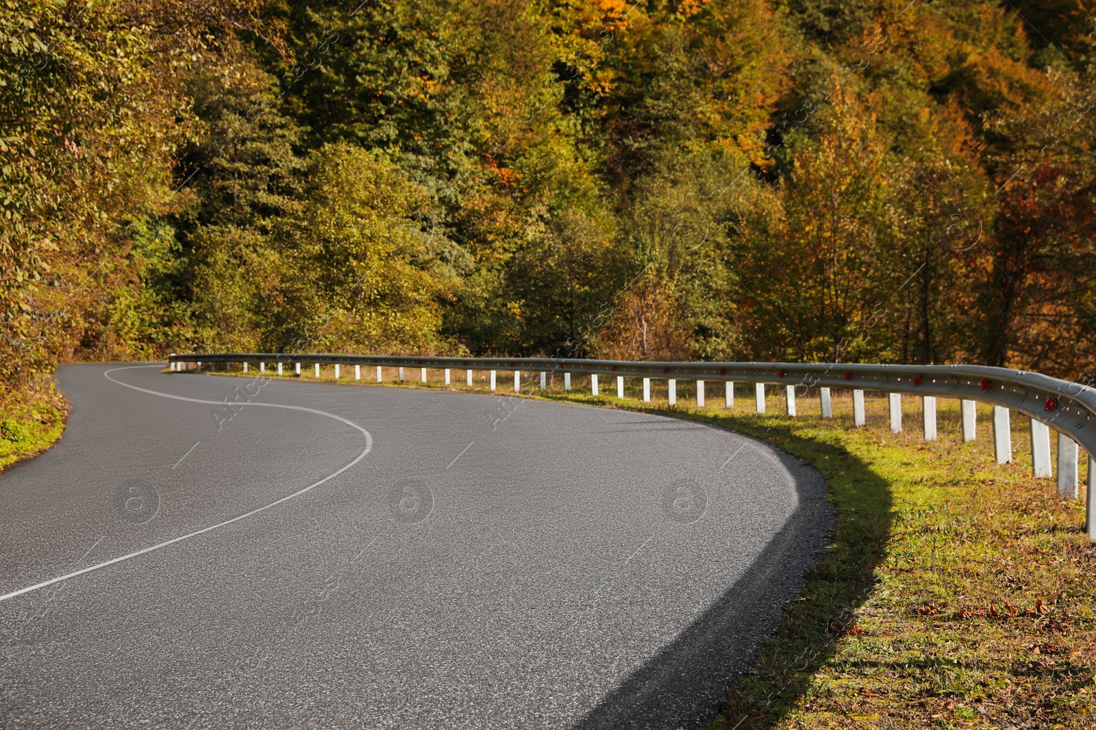 Photo of Picturesque view of empty road near trees