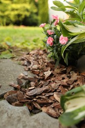 Photo of Mulched flowers with bark chips in garden, closeup