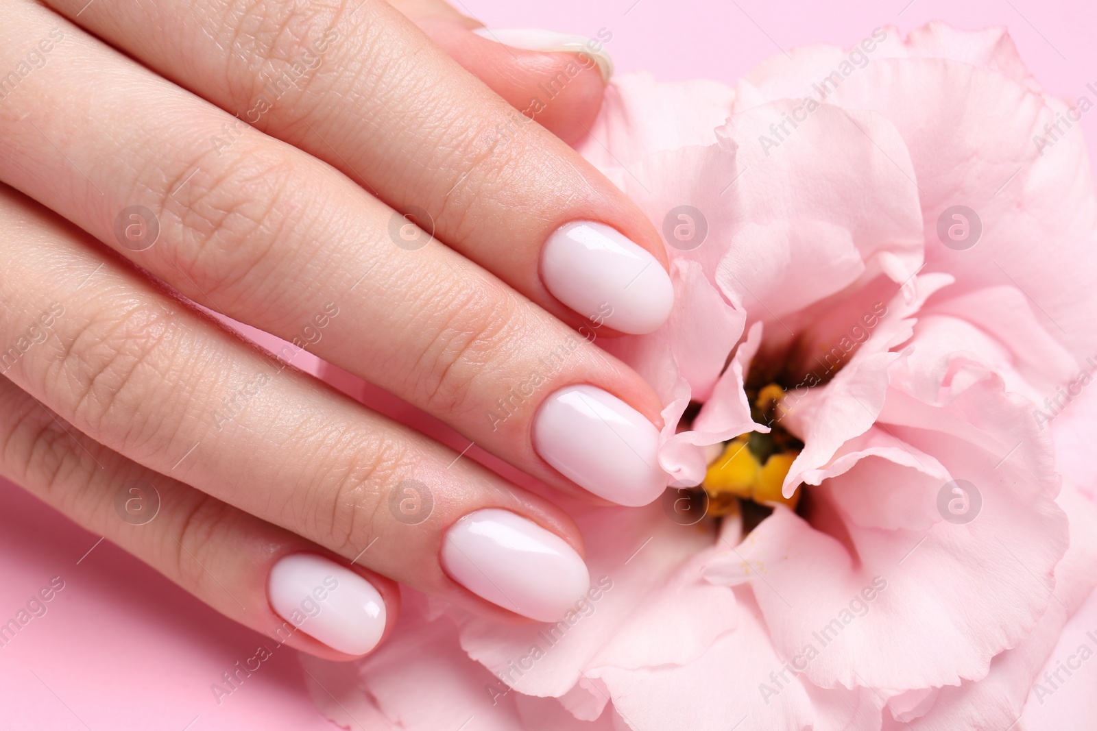 Photo of Woman with white nail polish touching eustoma flower, closeup