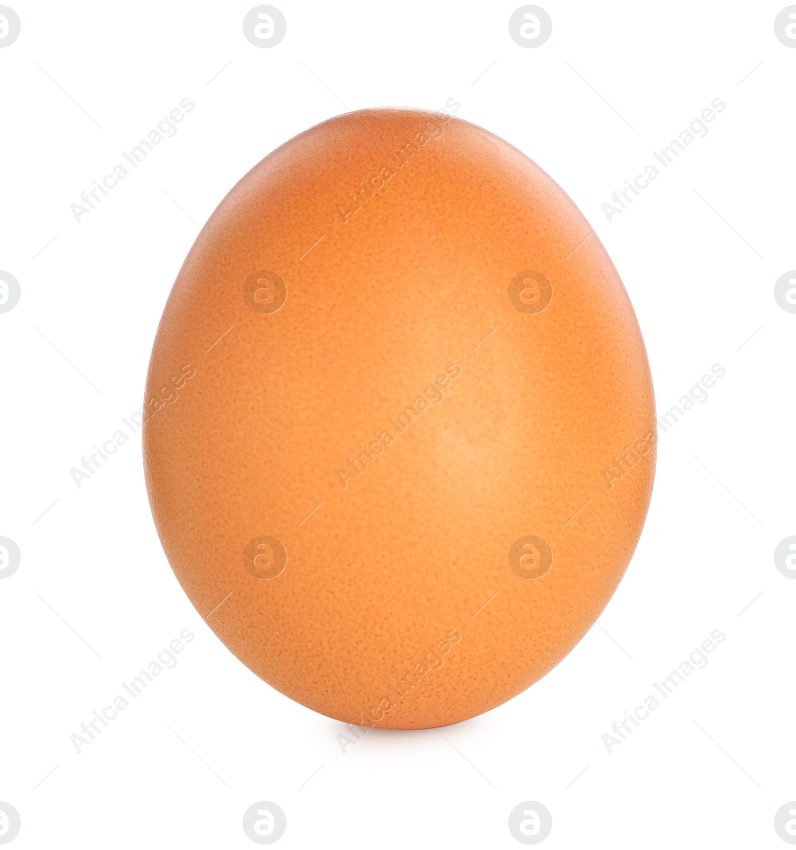 Photo of One raw chicken egg isolated on white