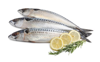 Raw mackerels, lemons and rosemary isolated on white
