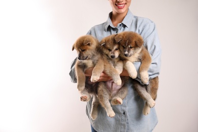 Woman holding Akita Inu puppies on light background, closeup. Space for text