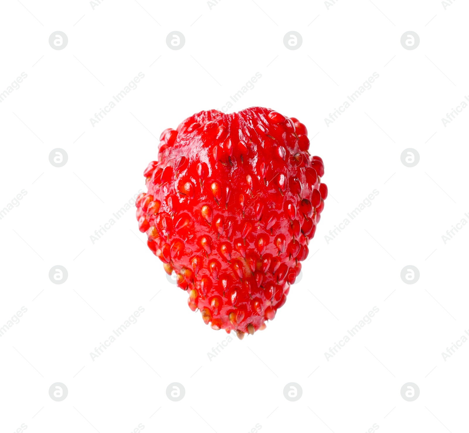 Photo of One ripe wild strawberry isolated on white