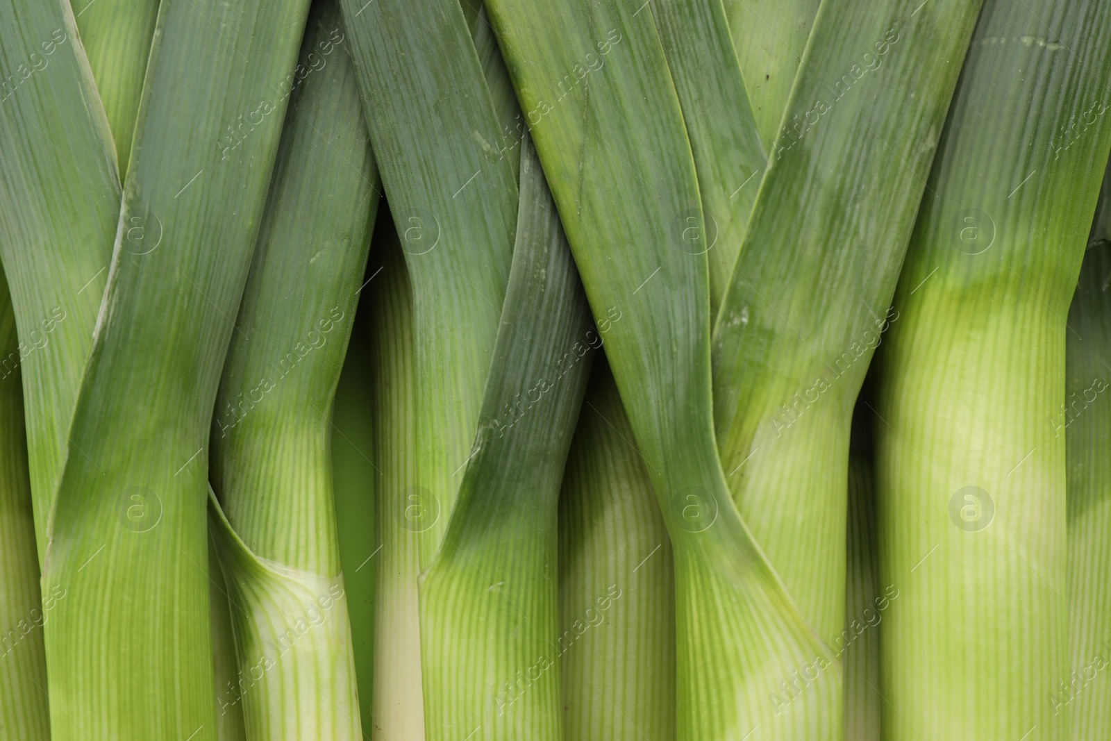 Photo of Fresh raw leeks as background, top view