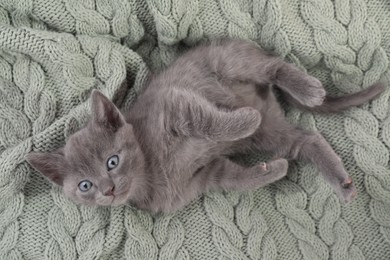 Photo of Cute fluffy kitten on blanket, top view. Baby animal