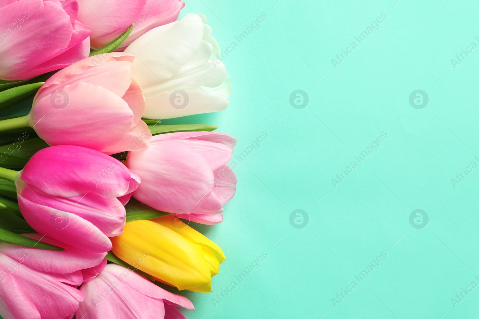 Photo of Spring tulips on color background, top view with space for text. International Women's Day