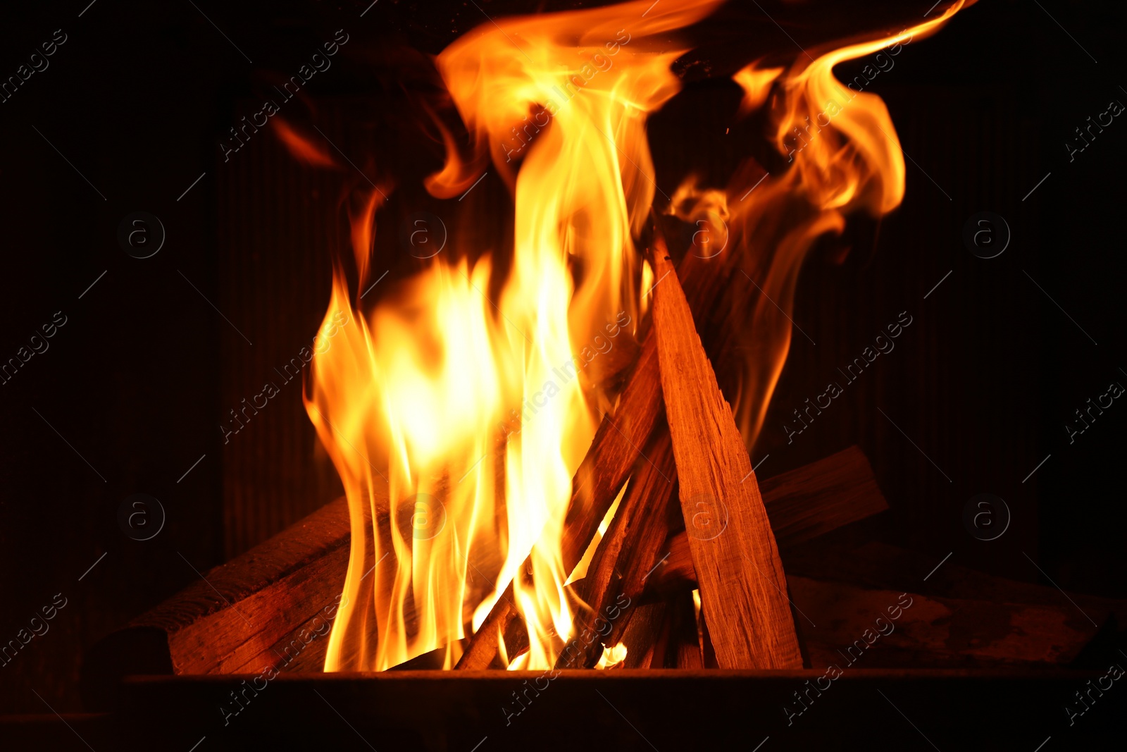 Photo of Bonfire with burning firewood on dark background