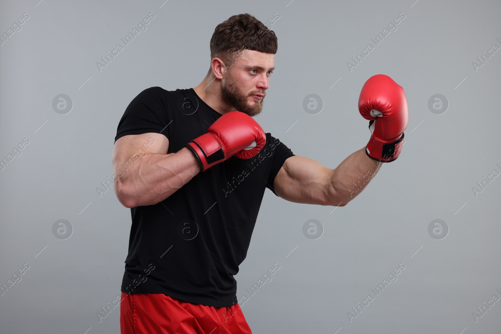 Photo of Man in boxing gloves fighting on grey background