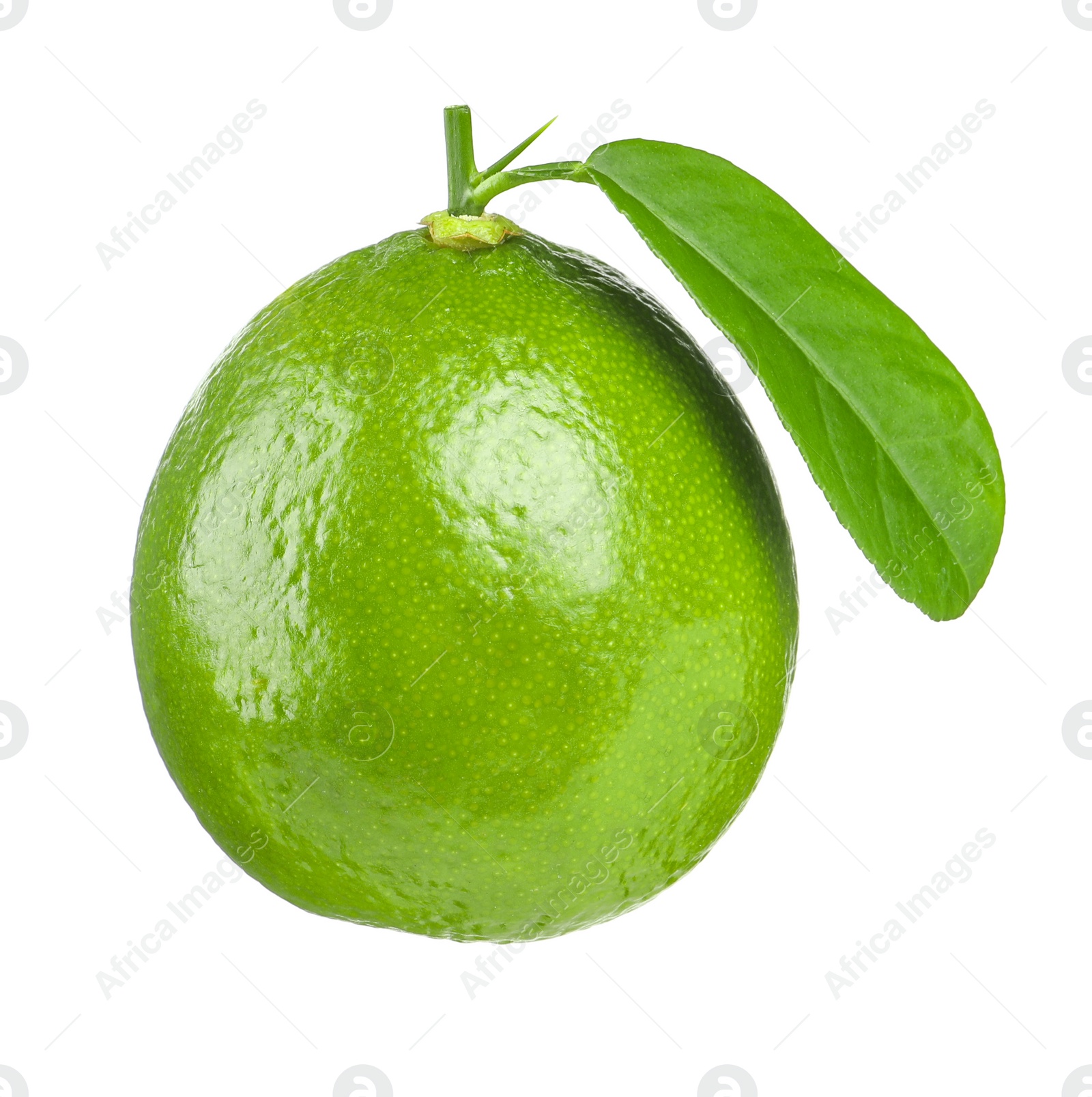 Photo of Fresh green ripe lime with leaf isolated on white