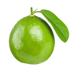 Photo of Fresh green ripe lime with leaf isolated on white