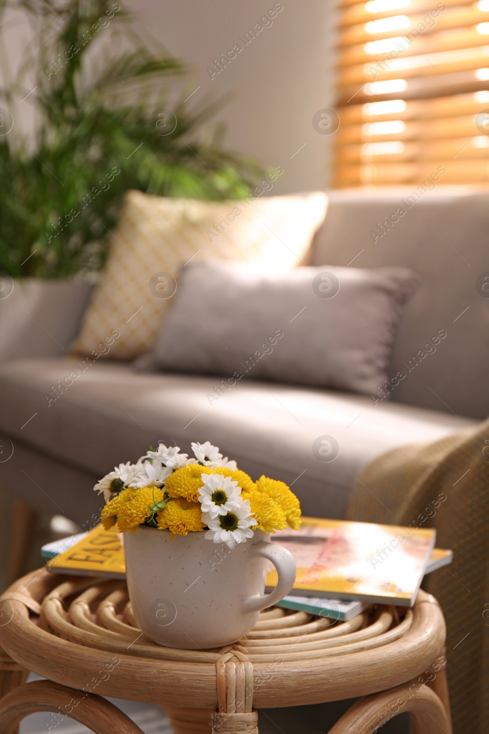 Photo of Cup with beautiful bright flowers and magazines on table in living room, space for text