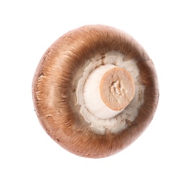 Fresh champignon mushroom isolated on white. Healthy food