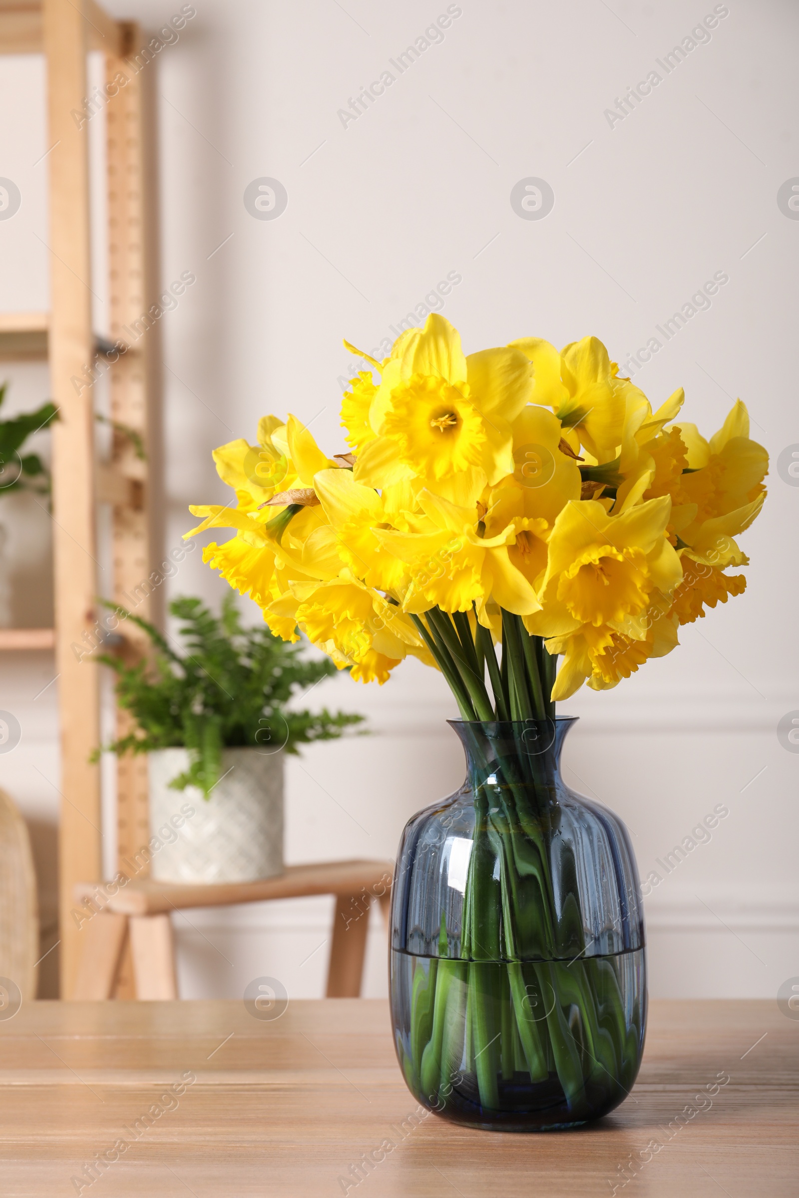 Photo of Beautiful daffodils in vase on wooden table indoors