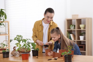 Mother and daughter planting seedlings in pot together at wooden table in room