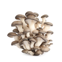 Photo of Fresh wild mushrooms on white background. Edible fungi