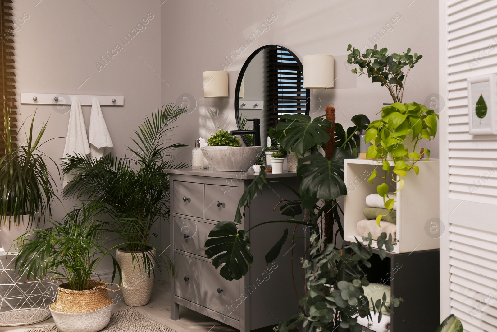 Photo of Stylish bathroom interior with modern furniture and beautiful green houseplants