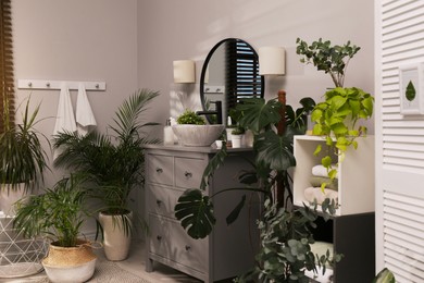 Stylish bathroom interior with modern furniture and beautiful green houseplants