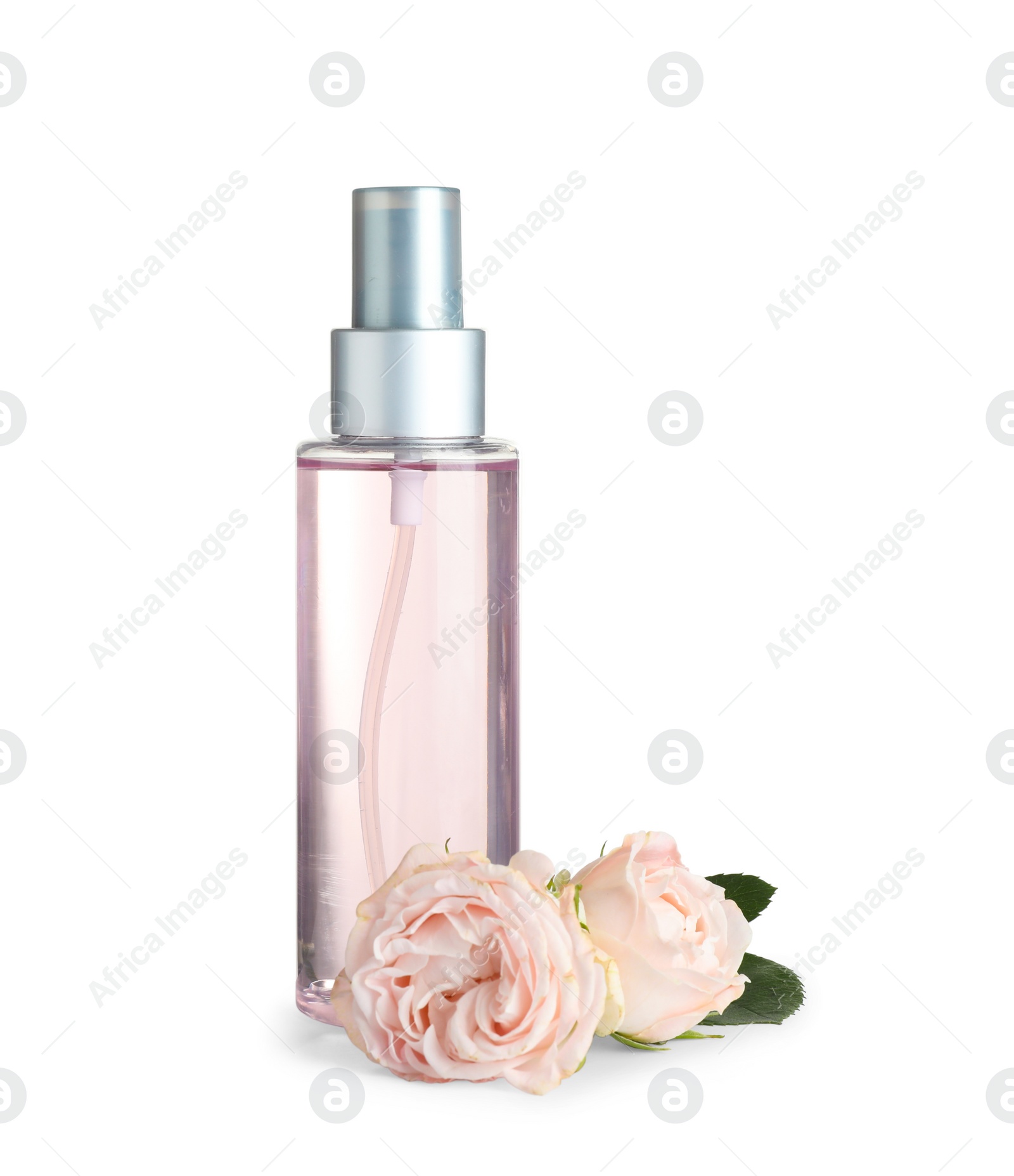 Photo of Bottle of essential oil and roses on white background