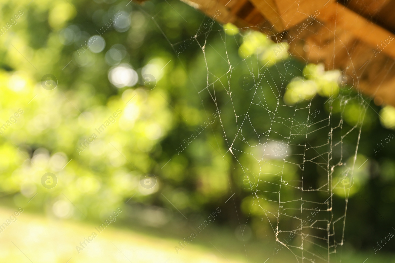 Photo of Cobweb on wooden building outdoors, closeup. Space for text