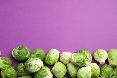 Fresh Brussels sprouts on purple background, flat lay. Space for text