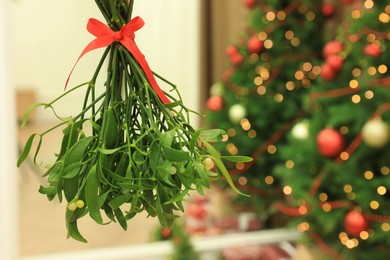 Photo of Mistletoe bunch hanging in room with Christmas trees, closeup. Space for text