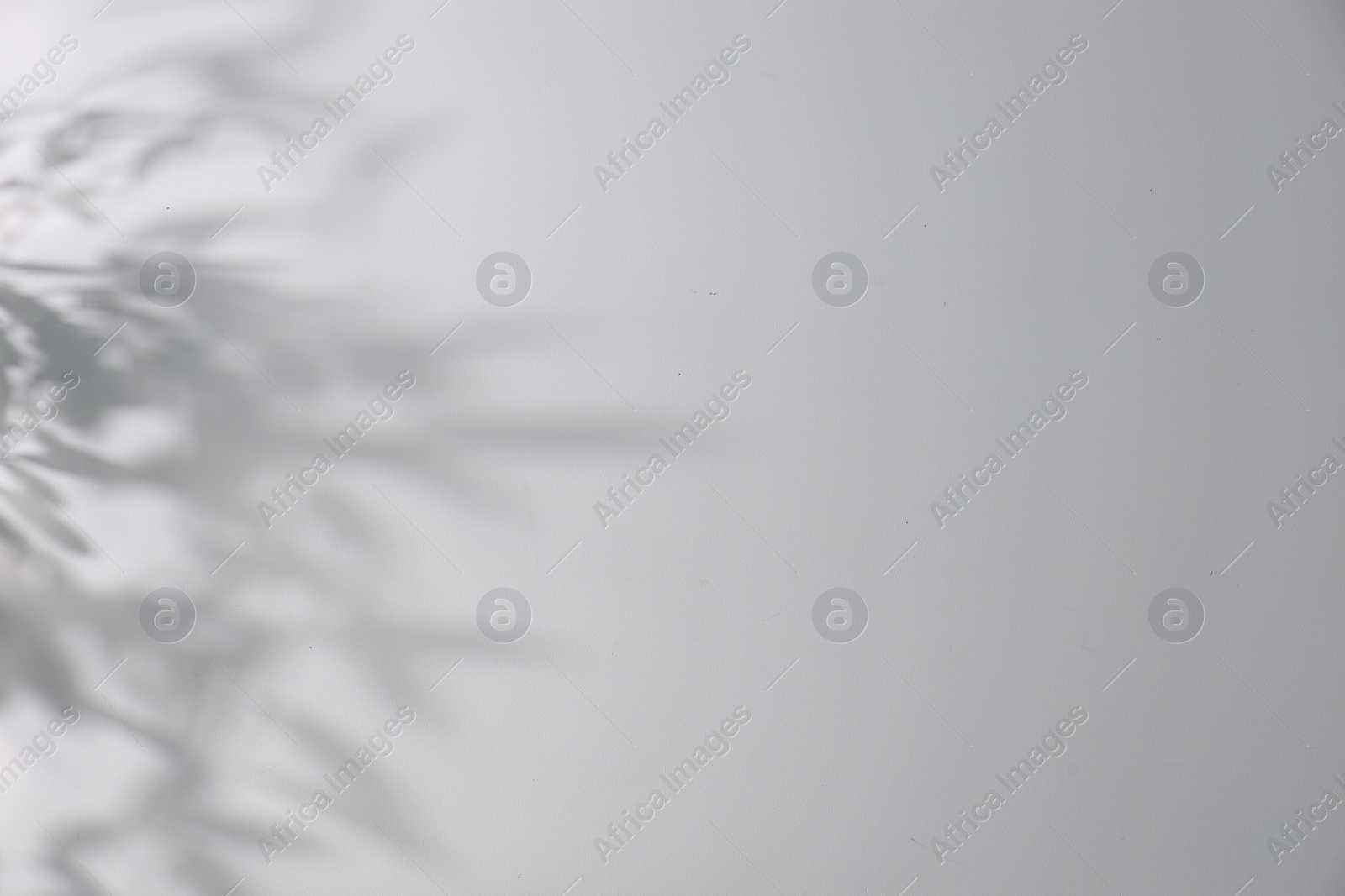 Photo of Shadow of plant falling on white wall, space for text