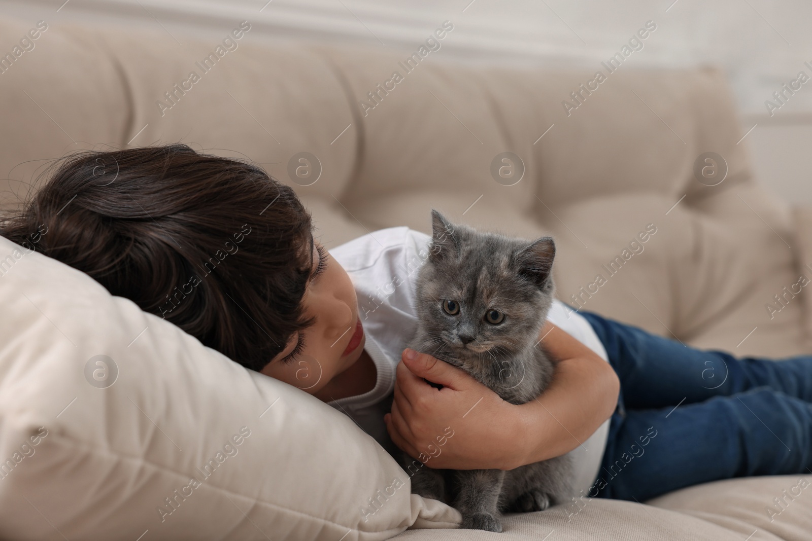 Photo of Cute little boy with kitten on sofa. Childhood pet