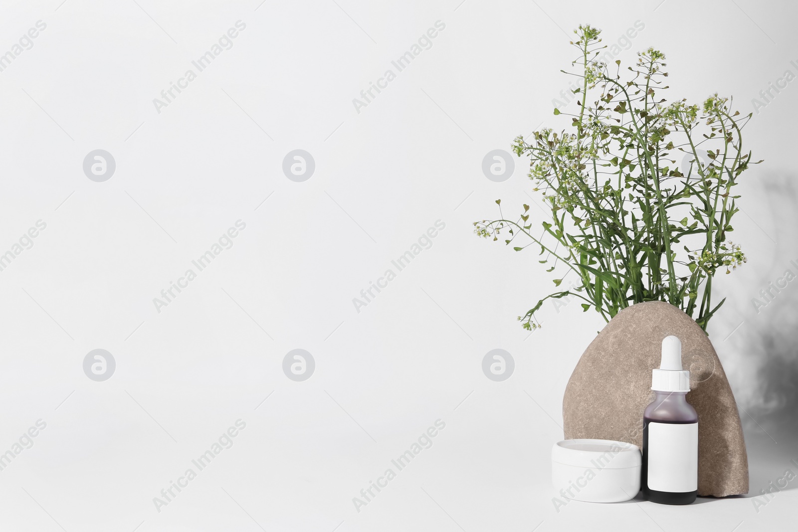 Photo of Cosmetic products, stone and bunch of camelina sativa on white background. Space for text