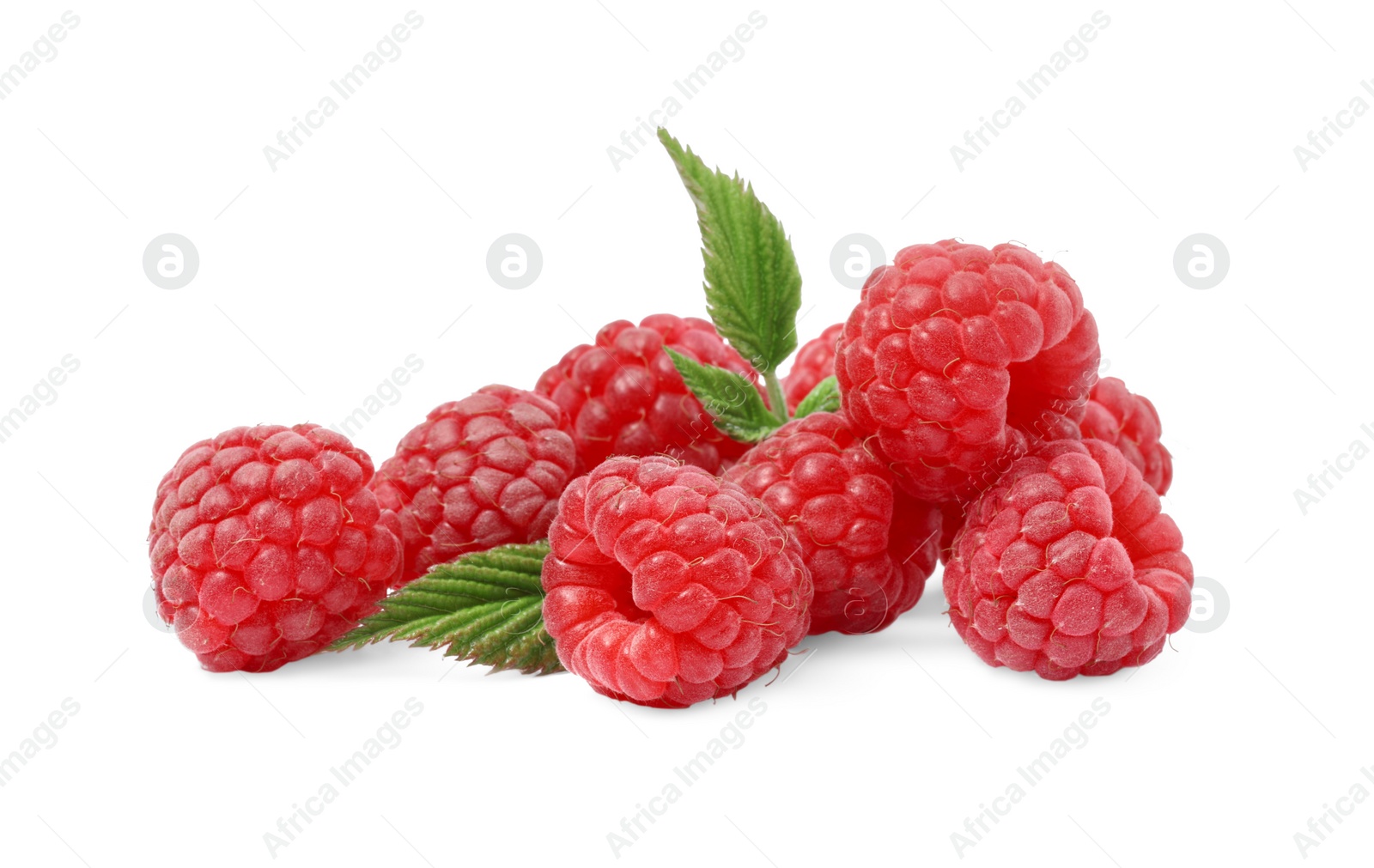 Photo of Many fresh ripe raspberries and green leaves isolated on white