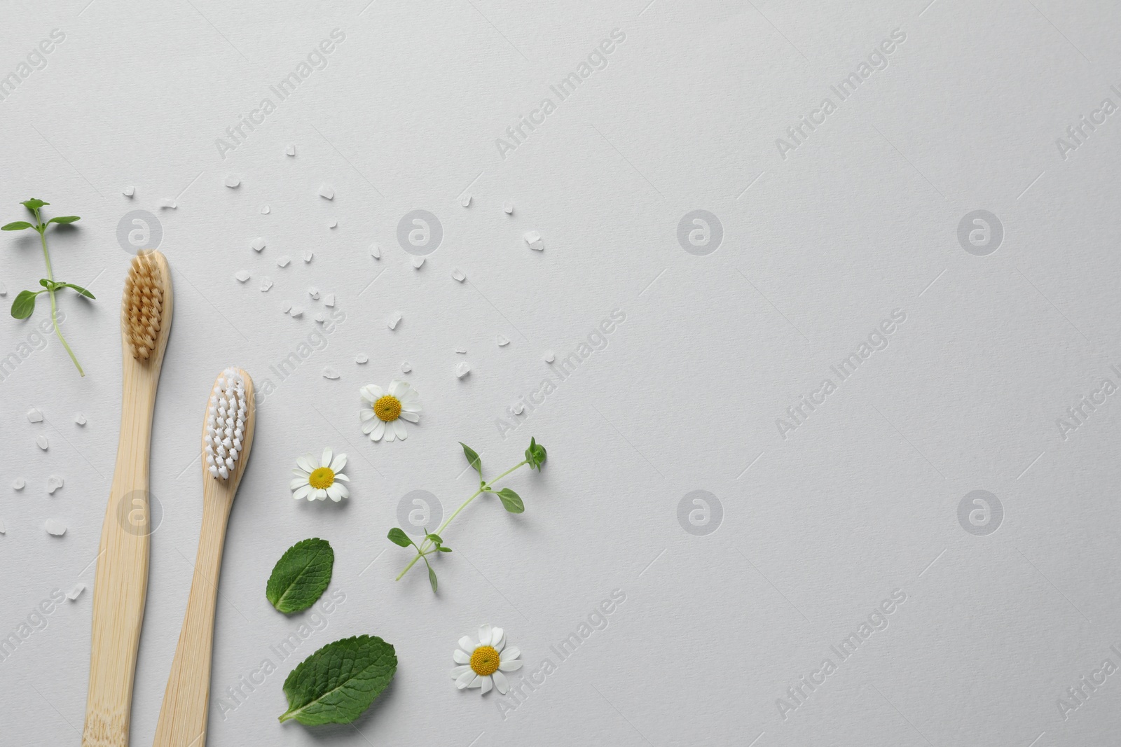 Photo of Bamboo toothbrushes, beautiful chamomile flowers, sea salt and herbs on white background, flat lay. Space for text