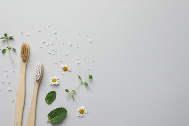 Bamboo toothbrushes, beautiful chamomile flowers, sea salt and herbs on white background, flat lay. Space for text