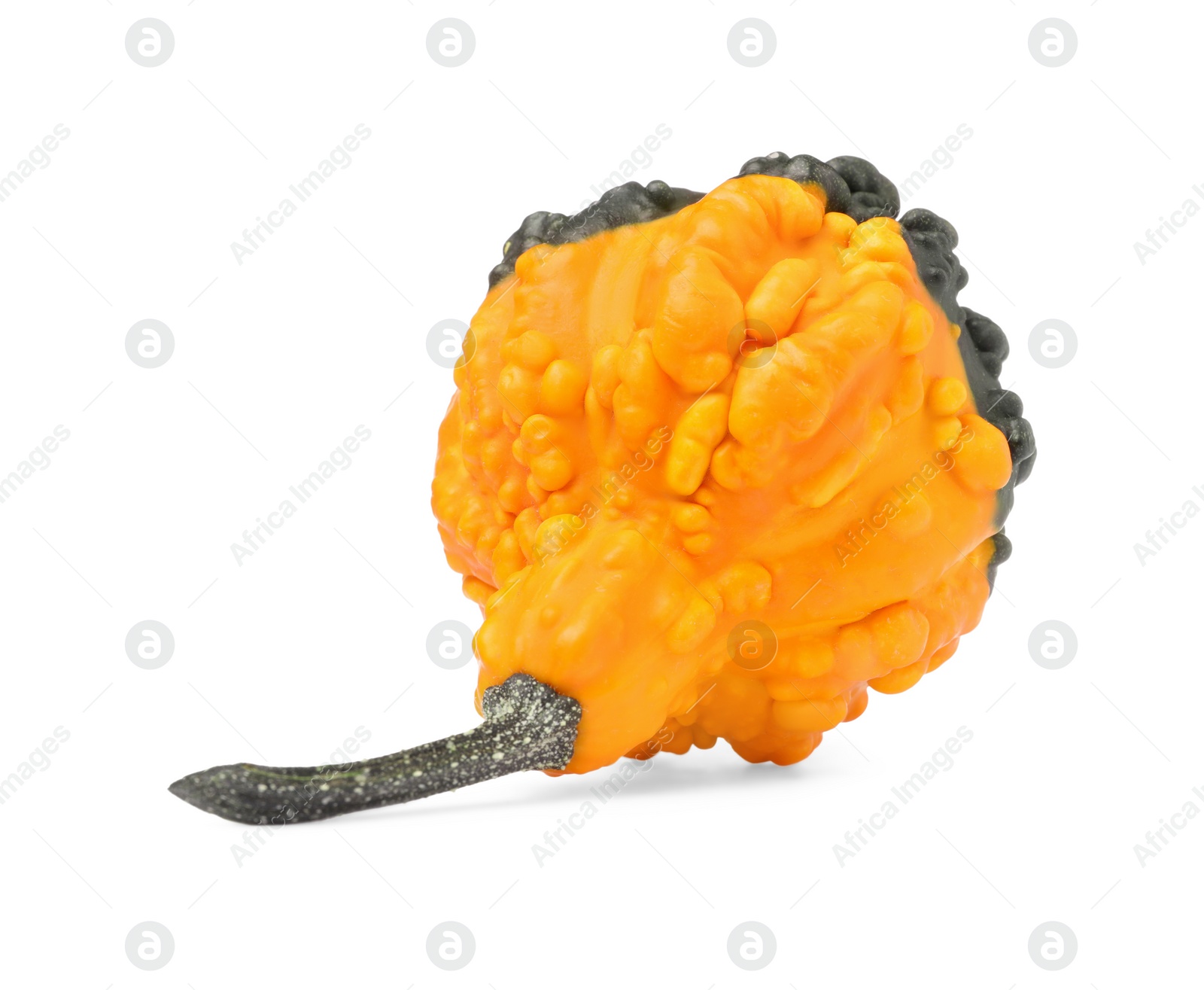 Photo of One fresh orange pumpkin isolated on white