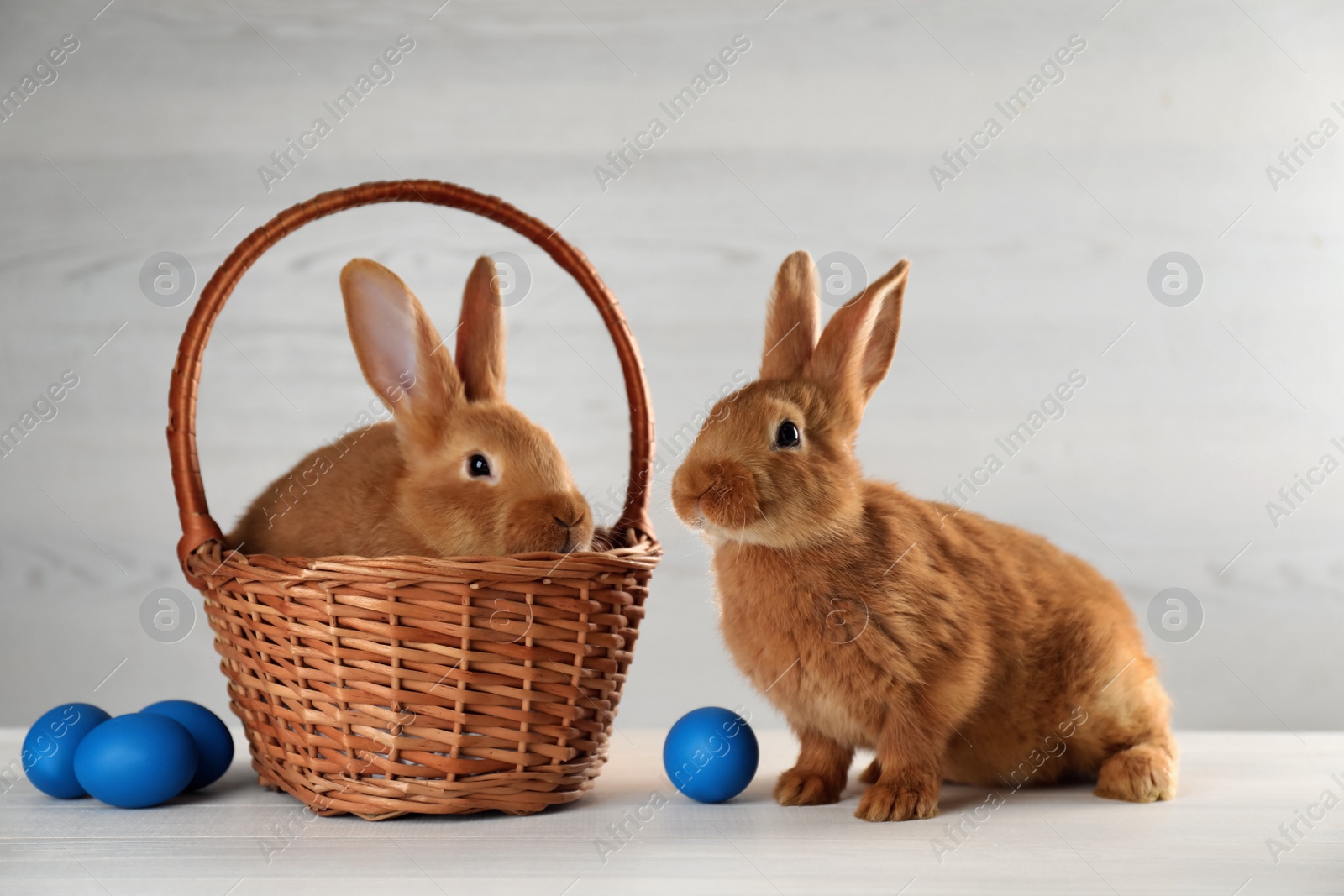 Photo of Cute bunnies, basket and Easter eggs on white table