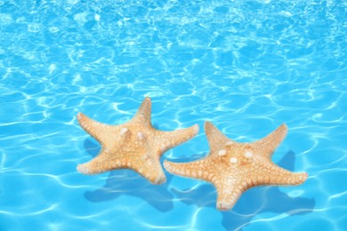 Image of Beautiful sea stars on clear blue water