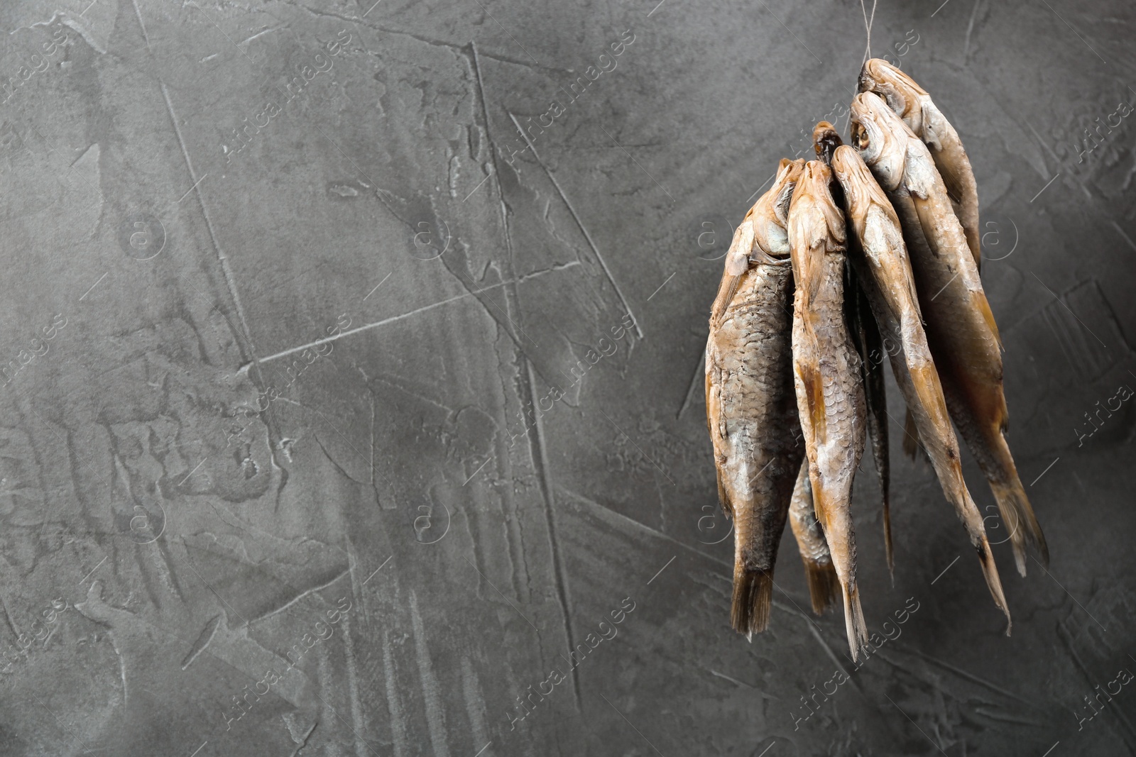 Photo of Dried fish hanging on rope against grey background, space for text