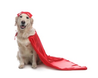 Photo of Adorable dog in red superhero cape on white background