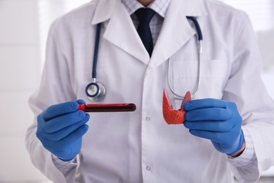 Photo of Doctor holding thyroid gland model and blood sample indoors, closeup