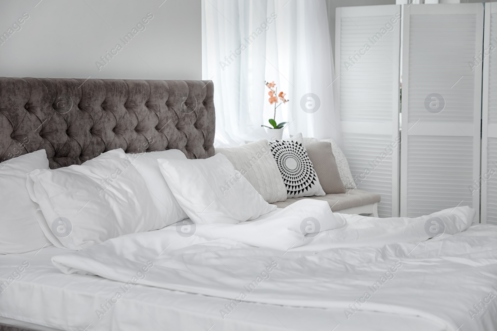 Photo of Bed with soft pillows in elegant room interior