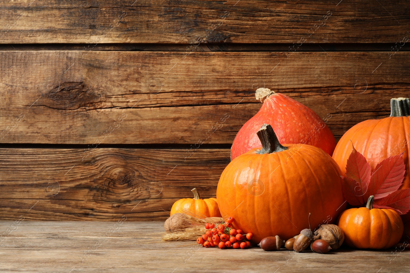 Photo of Composition with ripe pumpkins on wooden table, space for text. Happy Thanksgiving day
