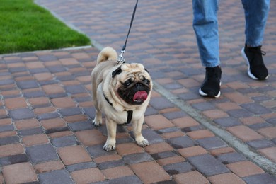 Woman walking with her cute pug on city street,, closeup