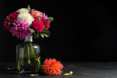 Photo of Beautiful dahlia flowers in vase on table against black background. Space for text