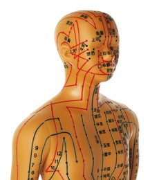 Acupuncture - alternative medicine. Human model with dots and lines isolated on white