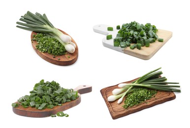 Image of Collage of chopped and whole green onions on white background