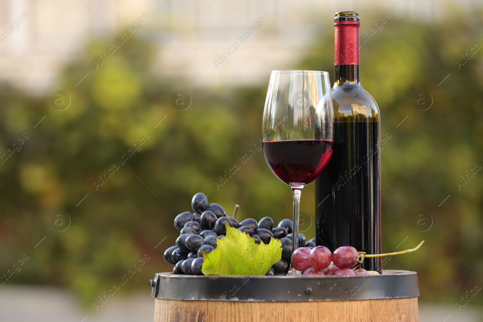 Photo of Delicious wine and ripe grapes on wooden barrel outdoors, space for text